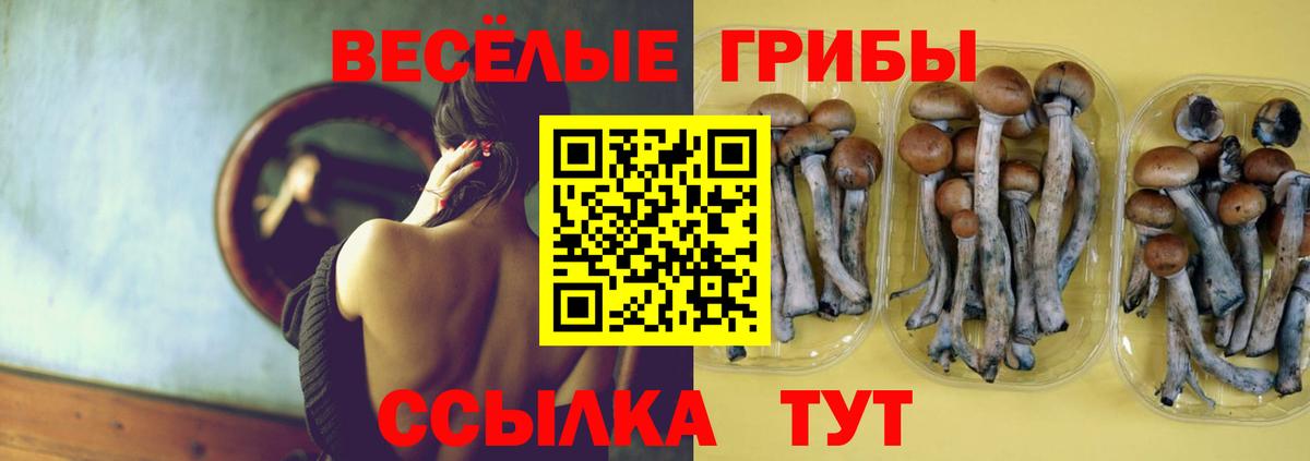 Рассказово  Псилоцибиновые грибы GOLDEN TEACHER  Вход с VPN 